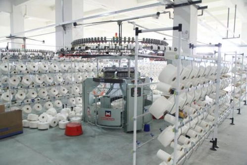 援疆暖民心 臺州助力新疆兵團(tuán)第一師阿拉爾市民生發(fā)展技術(shù)開發(fā)紀(jì)實