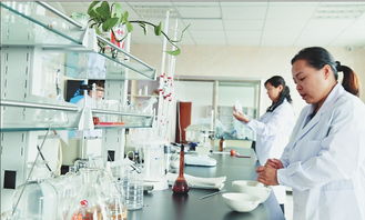 玉米芯變廢為寶 生物技術(shù)的綠色革新之路