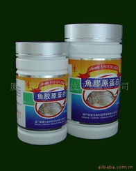 廈門智星生物科技開發有限公司 引領生物技術創新的先鋒