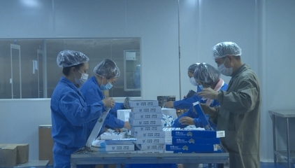 綿陽梓潼 生物醫藥企業開足馬力保生產 技術研發驅動防疫物資供應